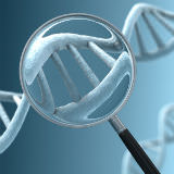 DNA close up