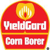 gmo corn borer