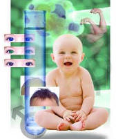 designer baby