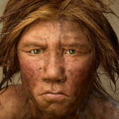 neanderthal 