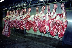 "Where's the Beef?" will be making its comeback next year.
