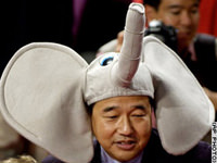 elephant_hat.jpg