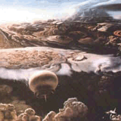 jupiterfloater.gif