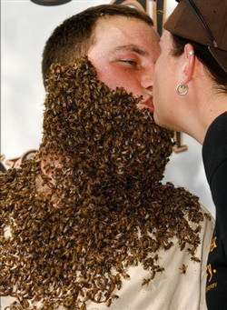 beebeard