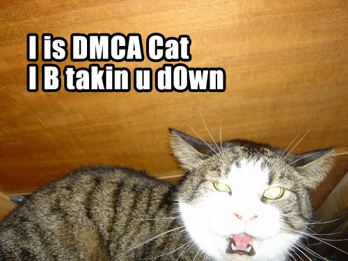 Lolcats make me lol