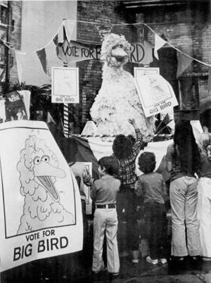 bigbird