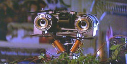johnny5