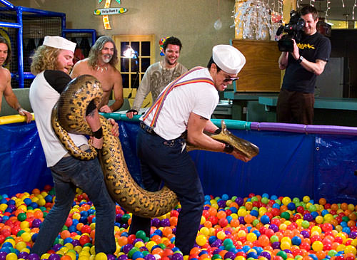 Jackass