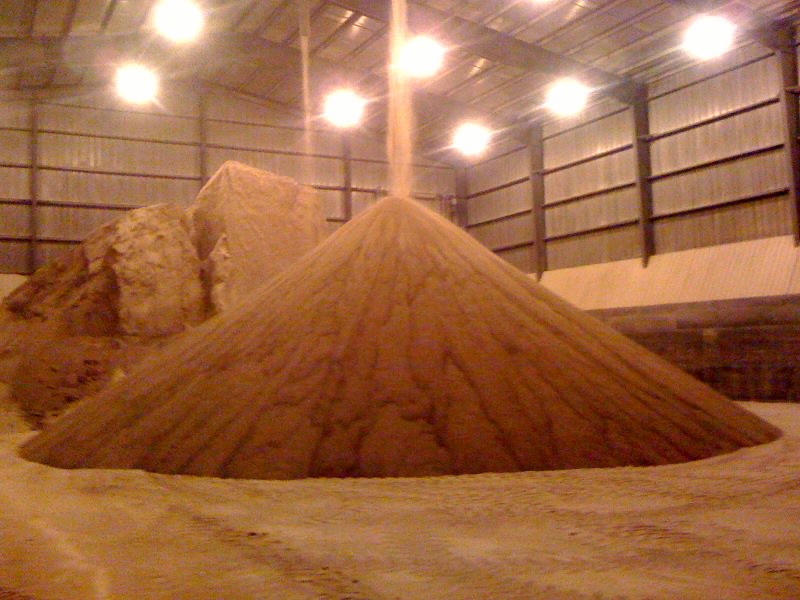 distillers grains distillers grains