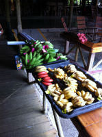 banana varieties