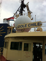 dole chile