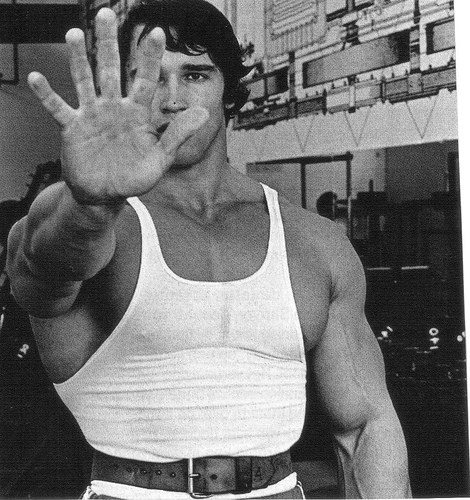 arnold schwarzenegger workout pdf. Arnold Schwarzenegger has