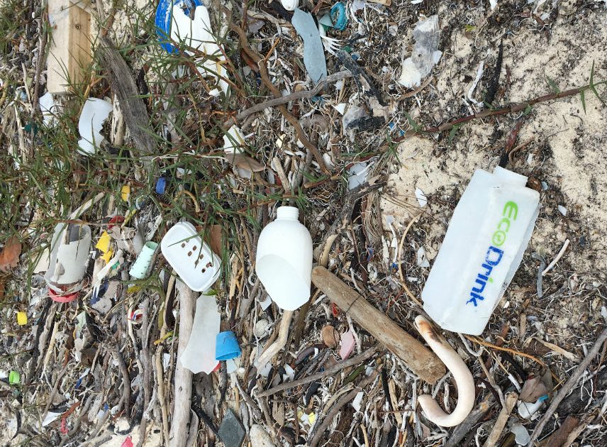 Earth Day And The Plastics Pollution Problem Reason
