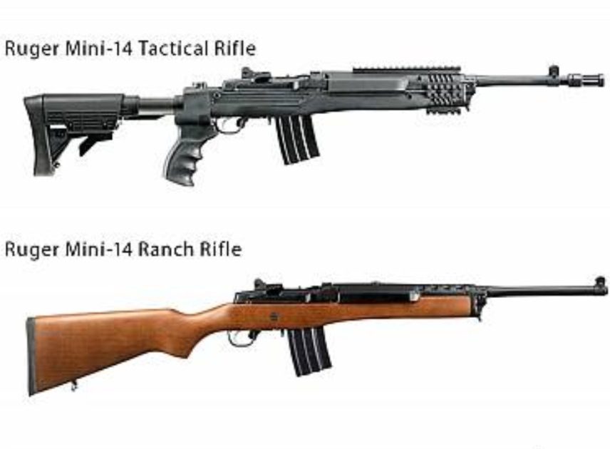 Neither &#39;Capacity&#39; Nor &#39;Power&#39; Distinguishes &#39;Assault Weapons&#39; From Other  Firearms