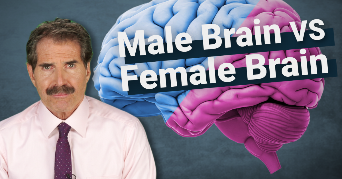 Stossel The Science Around Male Brains Vs Female Brains Reason