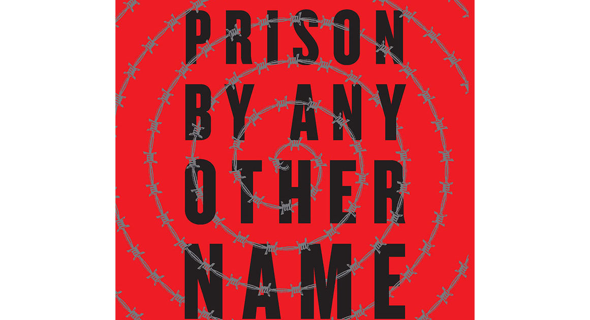 Prison by Any Other Name by Maya Schenwar