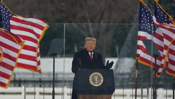 Donald Trump at the "Stop the Steal" rally on January 6, 2021