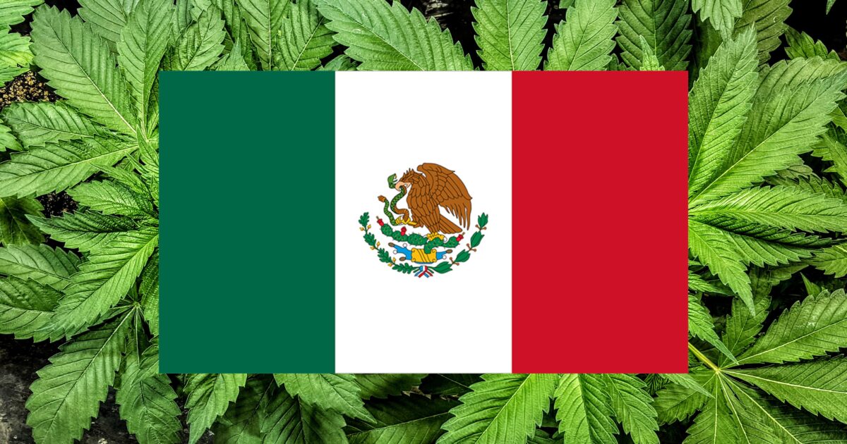 Losing patience with lawmakers, Mexico’s Supreme Court orders permits allowing consumers to grow and possess marijuana – Reason.com