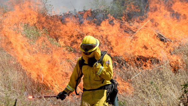 Fireman spraying brush while fire burns in the background.