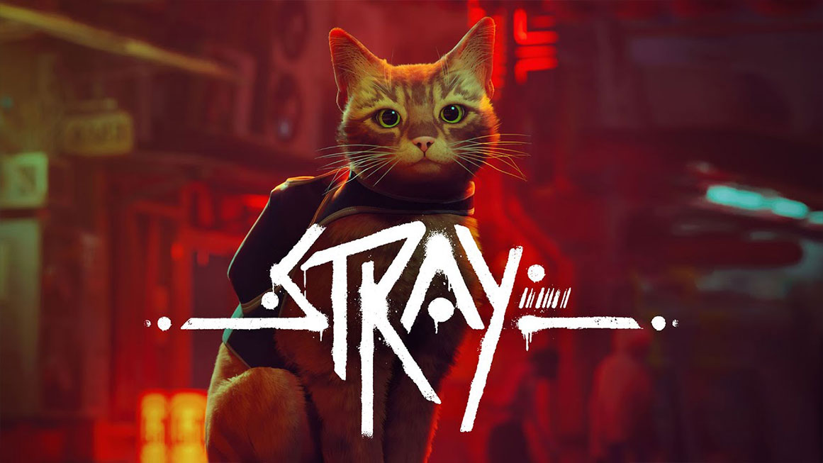 My Cat Loved the Stray Video Game as Much as I Did - CNET