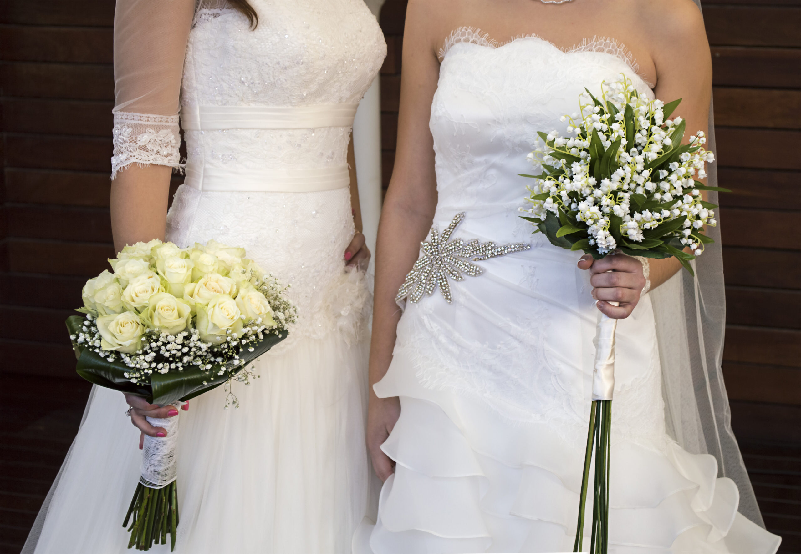 Babys Breath Baby's Breath Bouquet Babys Breath Fresh Baby's