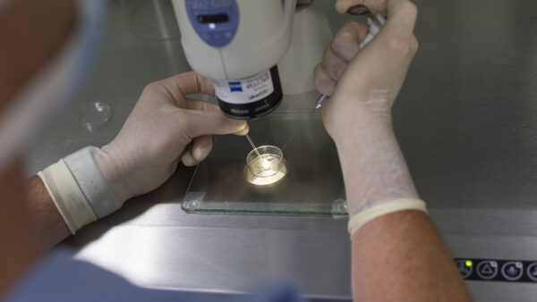 person working with a petri dish