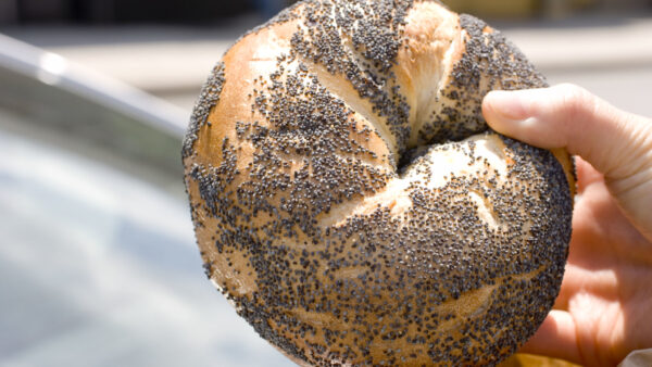 Poppy seed bagel