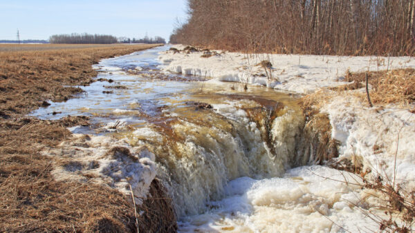 A muddy stream flows through a field