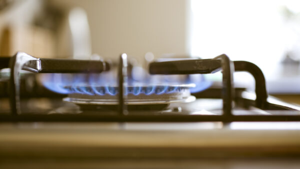 Gas stove burner