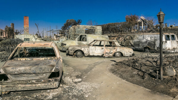 Burned cars