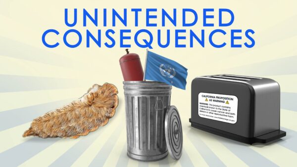 Good intentions, bad results: Venomous bugs, warning labels, carbon credit scheme.