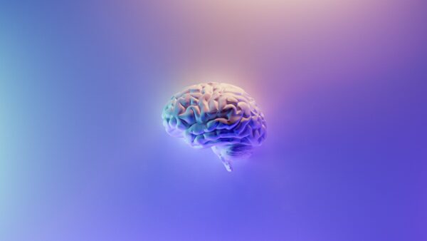 brain on purple background
