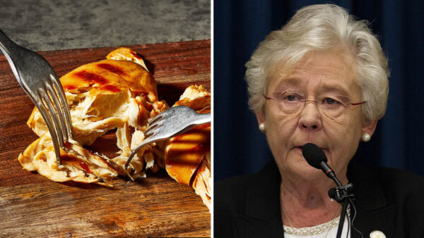 Governor Kay Ivey