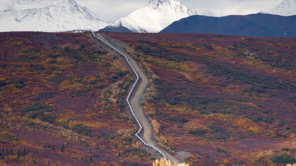 A pipeline goes up a hill, cutting through brush, with snowy mountains looming in the background.
