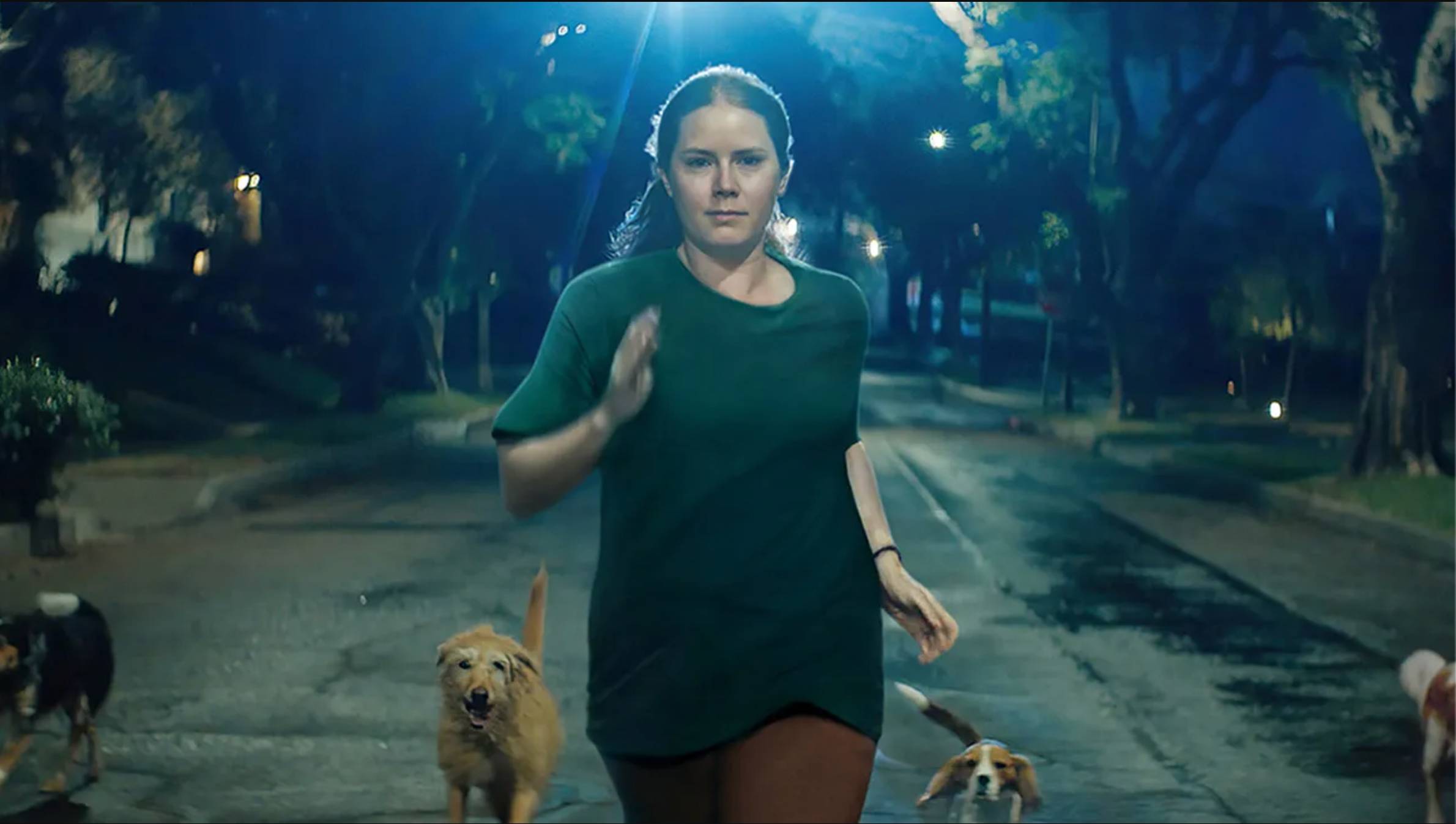 2024 has been a big year for feminist body horror films