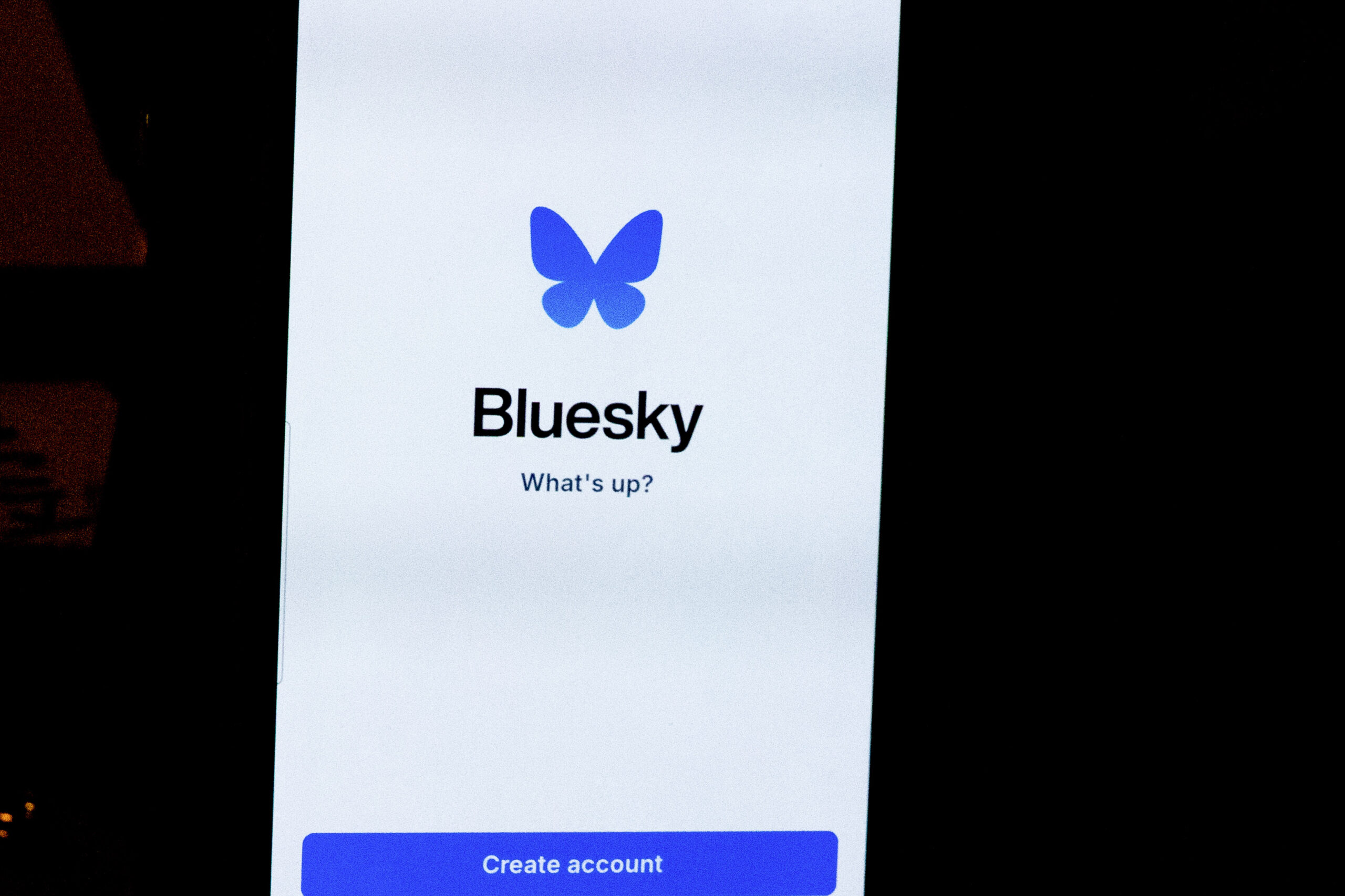 zumaamericasfortyfive317915-