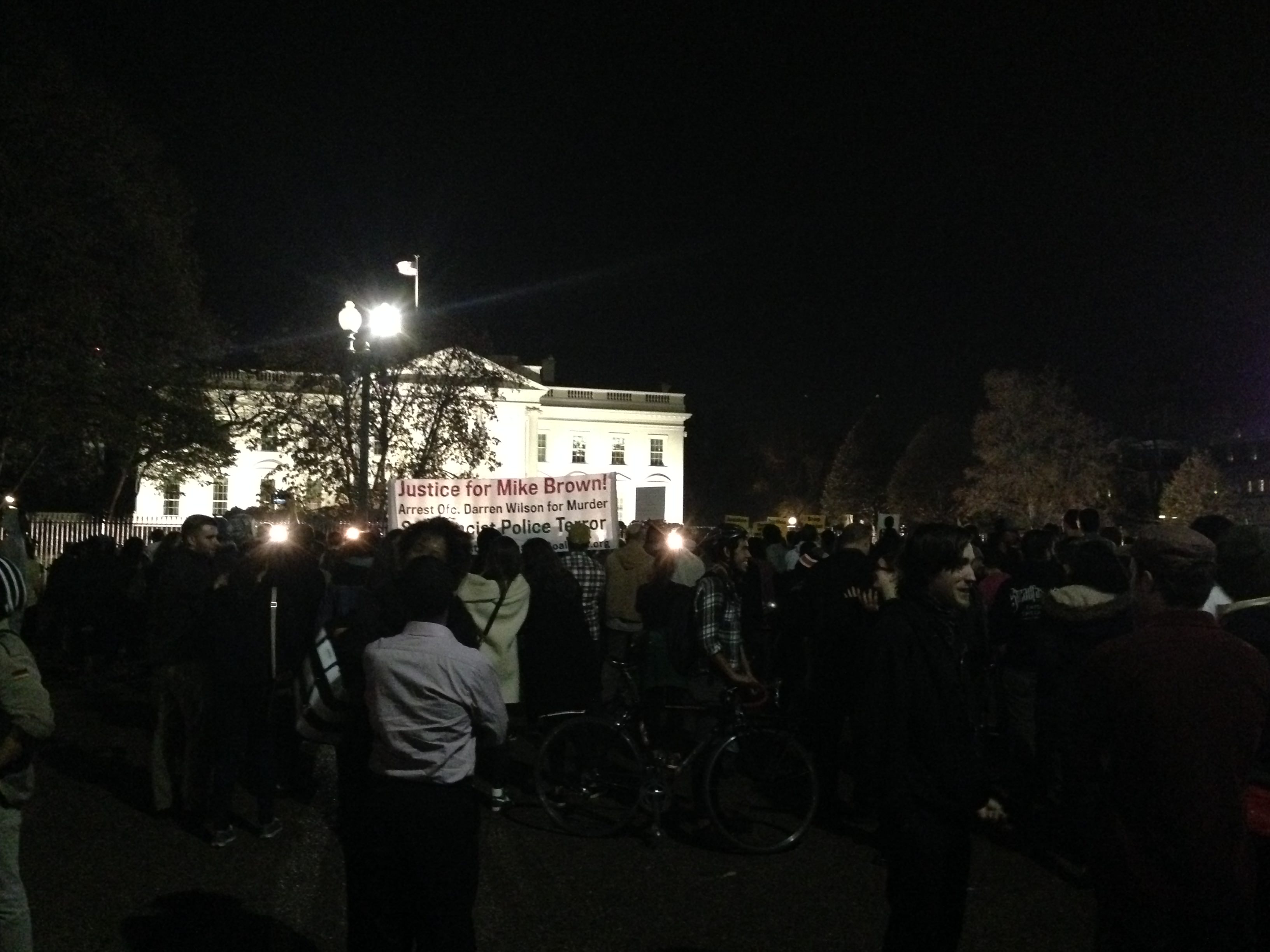 Ferguson protesters at the White House.