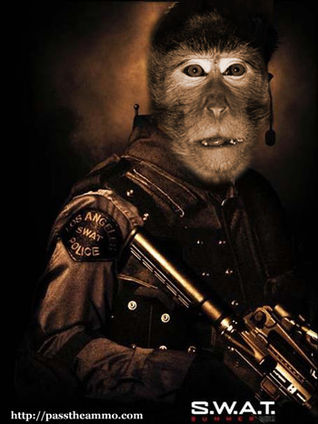 SWAT Monkey