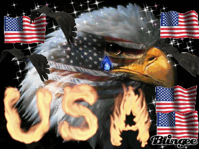 freedom eagle tear