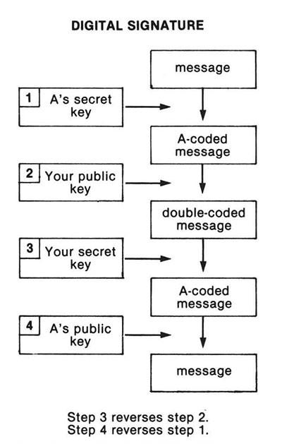 Data Privacy: What Washington Doesn't Want You to Know