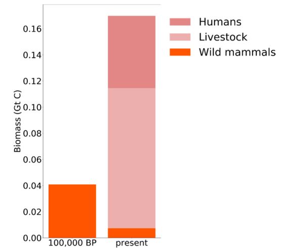 HumanBiomass