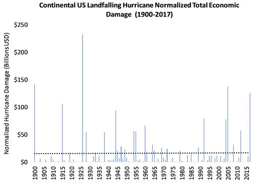 BAMSNormalizedLosses